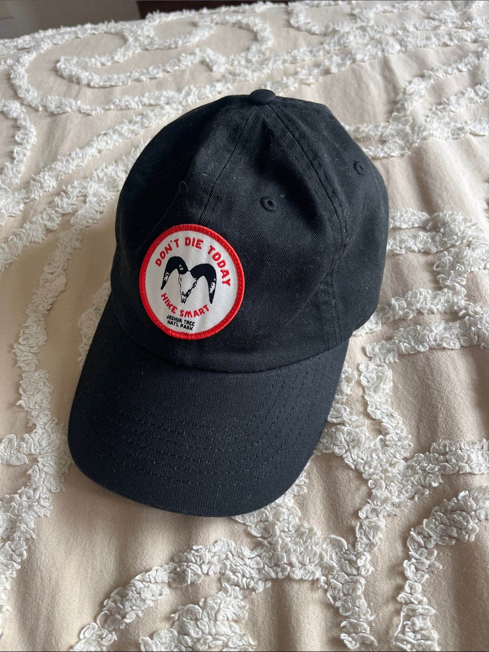 Don't Die Today Joshua tree dad cap